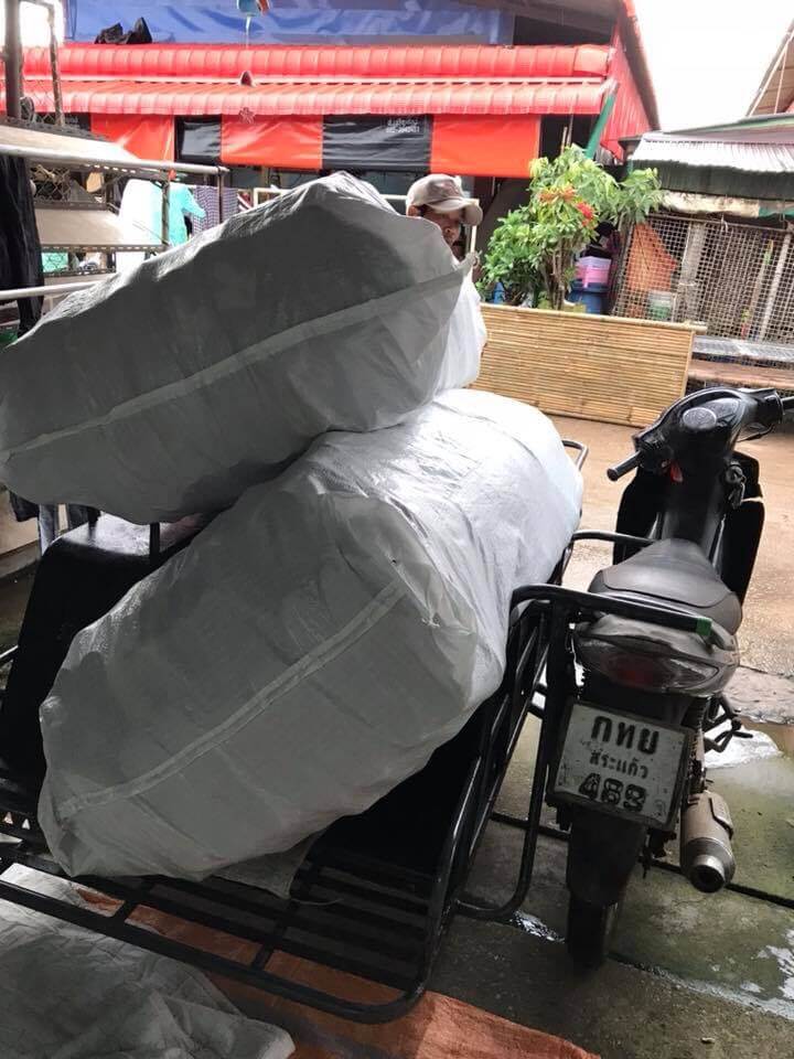 Bao giày từ Campuchia